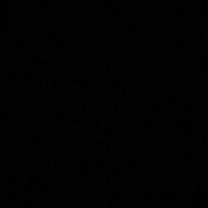 Meet your Posher, Lily